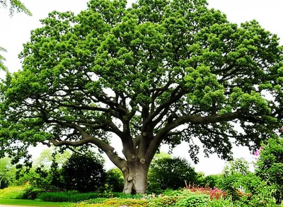 Illustration supports - Image 1