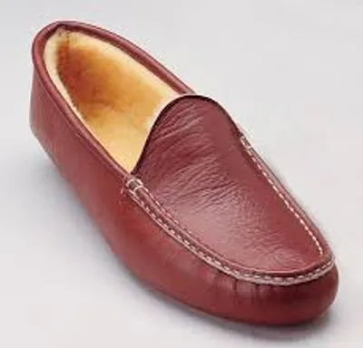 Illustration moccasin - Image 2