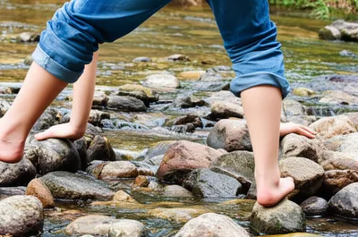 Illustration coons - Image 1