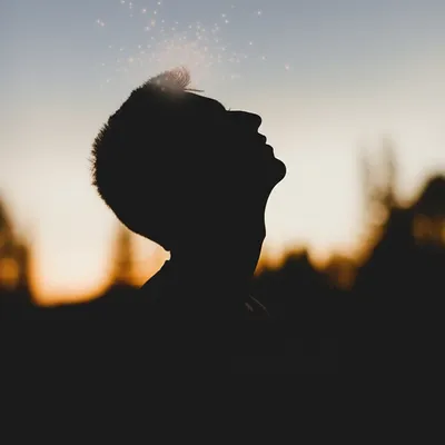 Illustration muse - Image 1