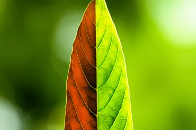 Illustration renewed - Image 1