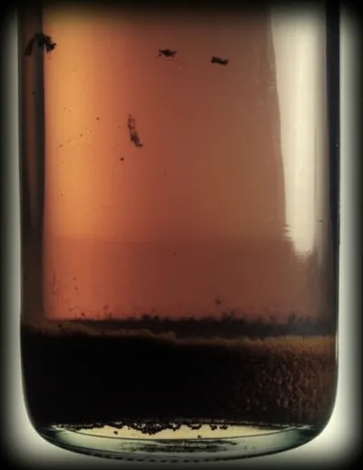 Illustration residences - Image 1