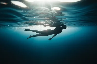 Illustration dive - Image 1