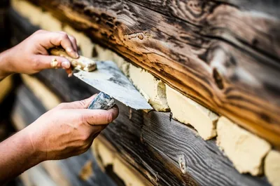 Illustration chink - Image 1