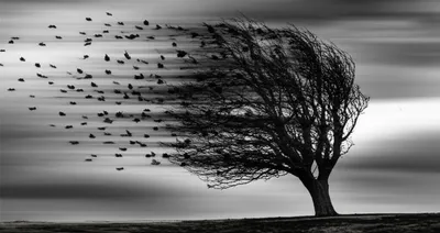 Illustration blow - Image 1