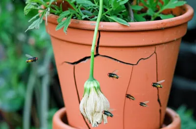 Hình ảnh minh họa unpleasantness - Ảnh 1