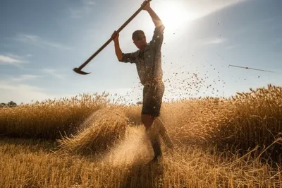 Illustration whips - Image 1