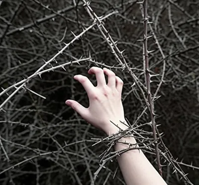 Illustration entangling - Image 1