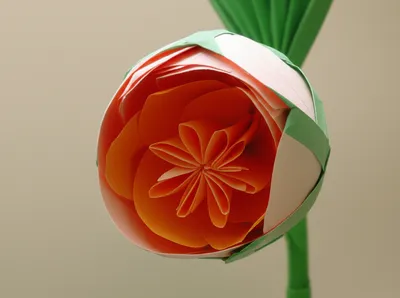 Illustration explained - Image 1