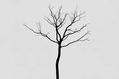 Illustration naked - Image 1