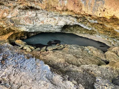 Illustration littoral - Image 2