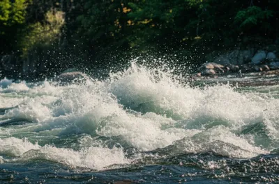 Illustration sharp - Image 1