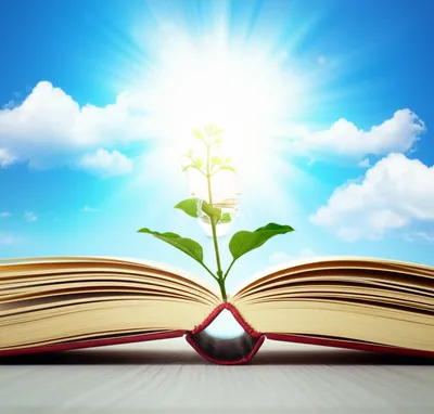 Hình ảnh minh họa edified - Ảnh 1