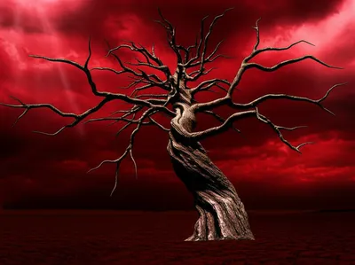 Illustration fell - Image 1