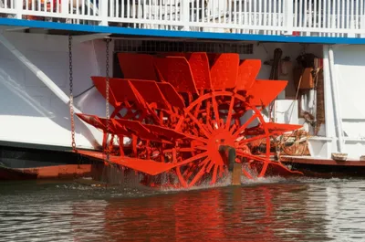 Illustration reefed - Image 1