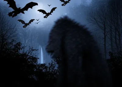 Illustration cryptozoology