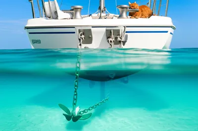 Illustration anchors - Image 1