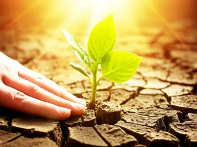 Illustration recovering - Image 1