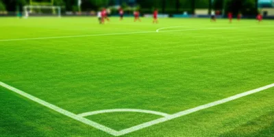 Hình ảnh minh họa paddock - Ảnh 1