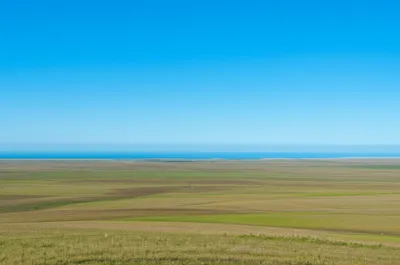 Illustration broad - Image 1