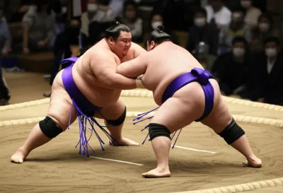 Illustration dojo - Image 1