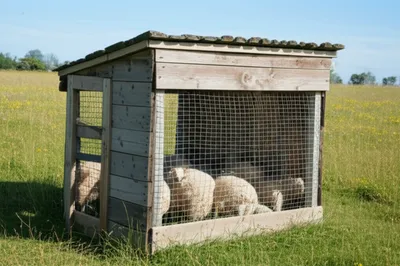 Illustration cot - Image 1