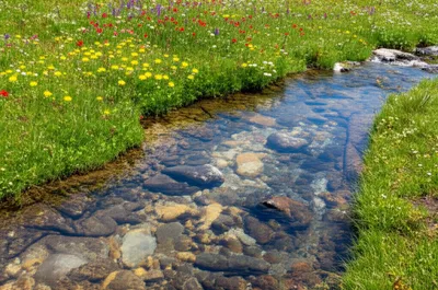 Illustration uncorrupted