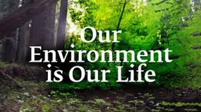 Illustration environment - Image 2