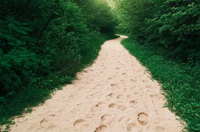 Illustration retraced - Image 1