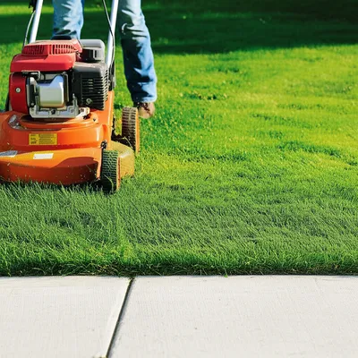 Illustration edging - Image 1