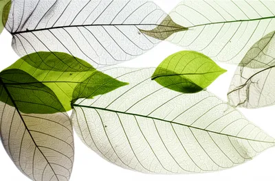 Illustration glass - Image 1