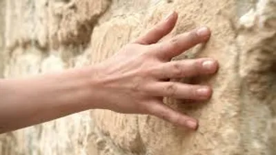 Illustration explore - Image 4