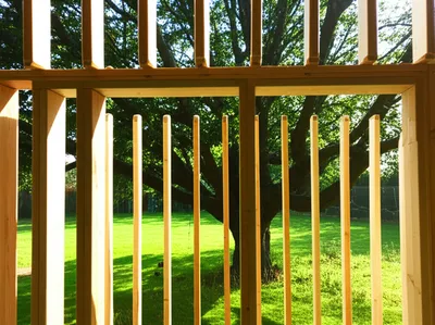 Illustration cages - Image 1