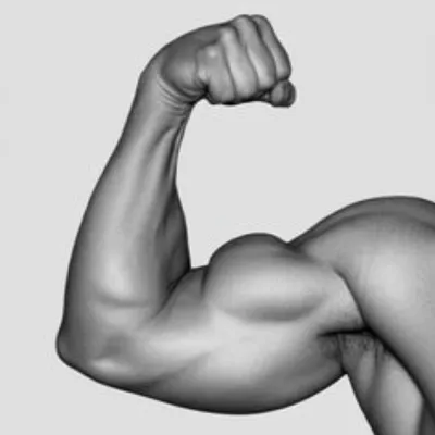 Illustration horseshoes - Image 1