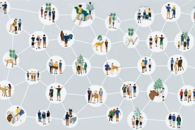 Illustration networks - Image 1