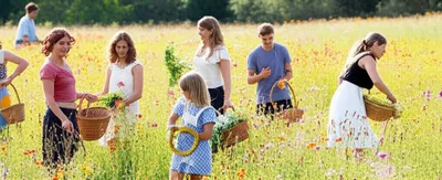 Hình ảnh minh họa maying - Ảnh 1