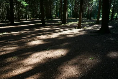 Illustration chequered