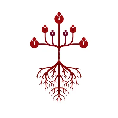 Illustration biological - Image 1