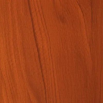 Illustration mahogany - Image 1