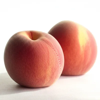 Illustration pair - Image 1