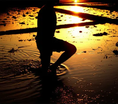 Illustration wade - Image 1