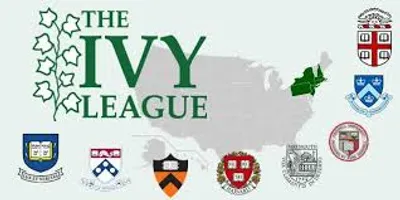 Illustration ivy - Image 2