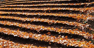 Illustration accumulate - Image 1