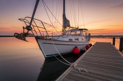 Illustration moors - Image 1