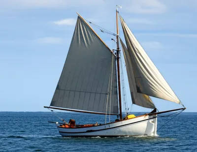 Illustration jigger - Image 1