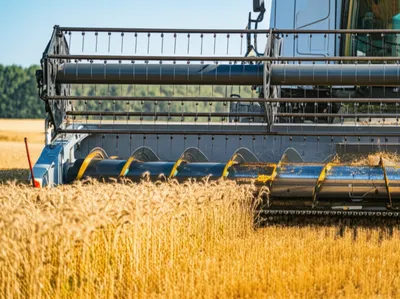 Illustration reels - Image 1