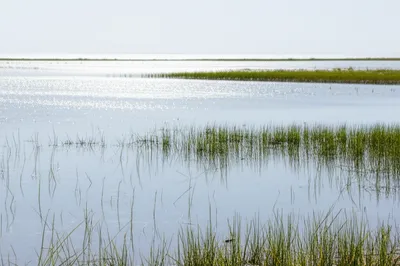 Illustration slack - Image 1