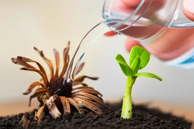 Illustration visuelle du mot « compensating » - Compenser, dédommager