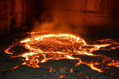 Illustration salamander - Image 1