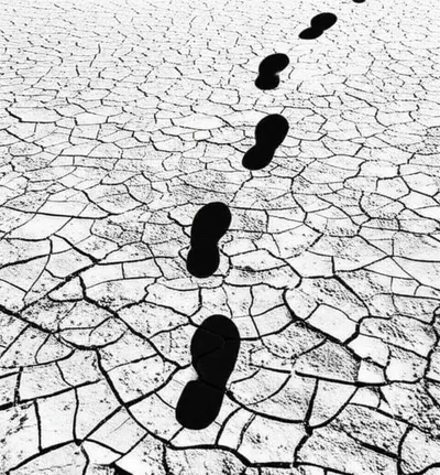 Illustration tail - Image 1